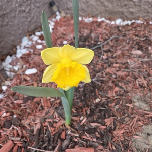 Fundraising Page: Martha Lynn